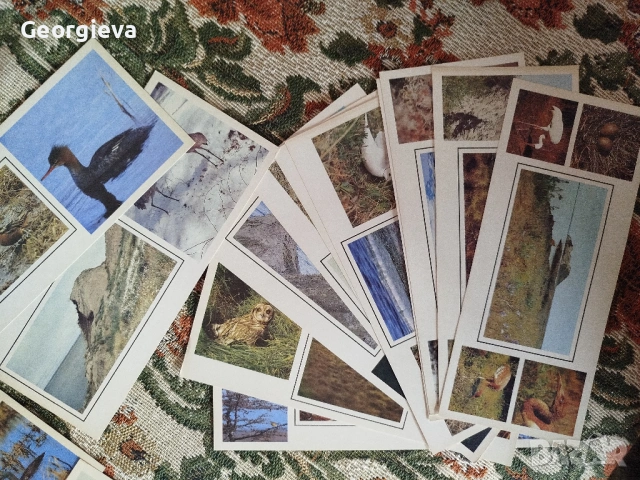 картички със птици и календар с картички, снимка 2 - Филателия - 53738458