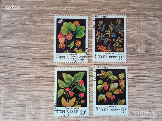 СССР Флора диви плодове 1982 г., снимка 1 - Филателия - 46294492