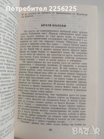 Сенки от стария Плевен, снимка 3 - Художествена литература - 52169997