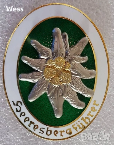 Германска, Вермахт значка "Планински водач"