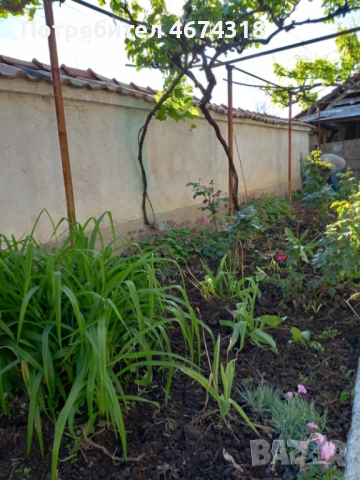 Продавам къща с двор в село Старосел, снимка 14 - Къщи - 52730315