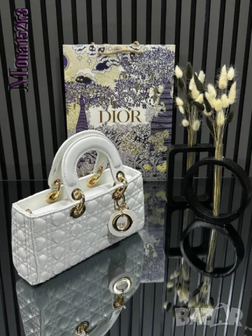 чанти christian dior 25/12см
, снимка 10 - Чанти - 50963329