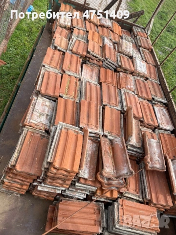 Продавам киремиди здрави , снимка 2 - Питбул - 53680534