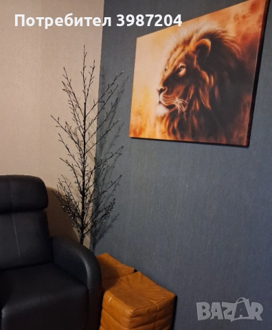  Апартамент , снимка 2 - Апартаменти - 52185106