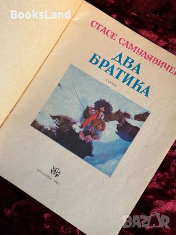 Два братика , снимка 2 - Детски книжки - 46558840