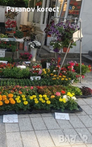 Цветя, букети, аранжировки, венци в град Пещера, снимка 2 - Саксии и кашпи - 51031515