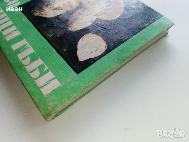Диворастящите гъби - Н.Колев,Аф.Охапкин - 1974г., снимка 10 - Енциклопедии, справочници - 51999994