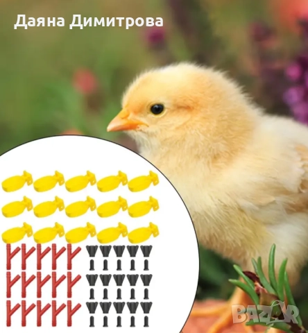 поилки за птици , снимка 6 - За селскостопански - 52244881