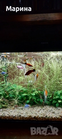 Продавам голям аквариум