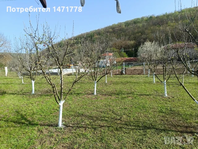  Къща в с.Могилово, снимка 14 - Къщи - 50708859