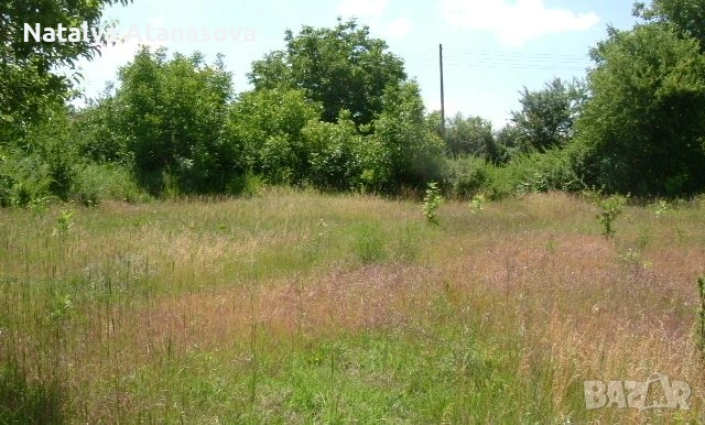 Къща за продажба в Бдинци, Добрич, снимка 8 - Къщи - 53635110