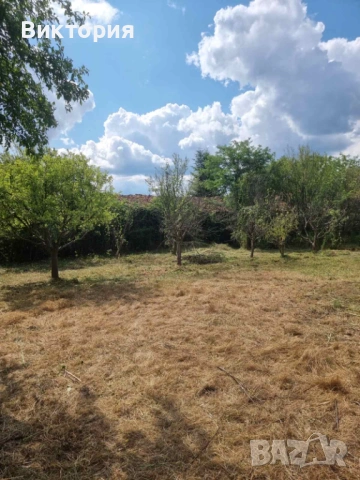 Частно лице продава имот в с. Крайници,община Дупница, област Кюстендил. , снимка 11 - Парцели - 53172205