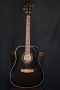 ZOOM A2 акустик, Carlo Robelli CW4102EQB - el-acoustic guitar, снимка 5
