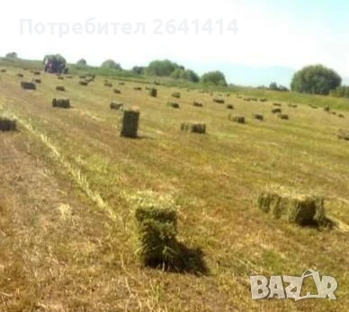 Бали ливадно сено, снимка 1