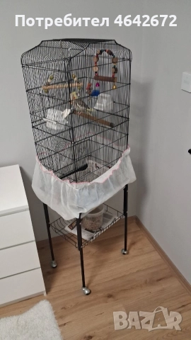 ОБЕЩАН!!! Корела с оборудвана клетка със стойка, снимка 7 - Папагали - 52809444