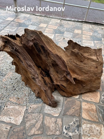 Мангров корен ХХЛ, снимка 5 - Оборудване за аквариуми - 54029892