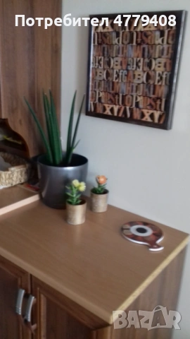 Студио Лъвов мост , снимка 6 - Апартаменти - 53997398