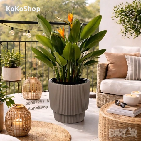 Кашпа 36x36.5 см. - голяма пластмасова кашпа