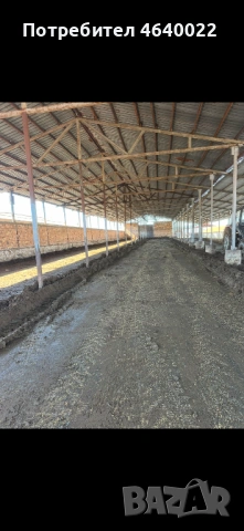 Продава се действаща кравеферма – напълно оборудван и разработен бизнес, снимка 3 - Производствени сгради - 53513854