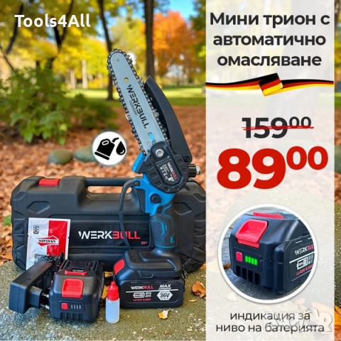 Немска Акумулаторна Мини Резачка/Трион с омасляване, 2 Вериги