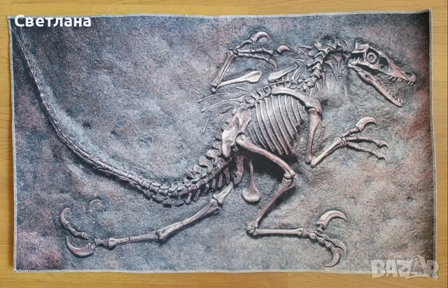 Велурен килим Fossil Art 3D Dinosaur, 47x77 см