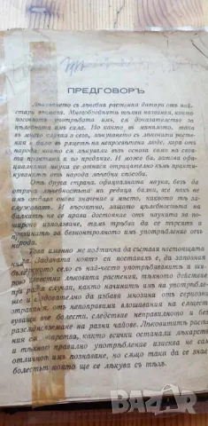 Лечебни растения употребявани въ народната медицина Съ 75 илюстрации въ текста - Н. Балтаджиев, снимка 1 - Специализирана литература - 46851649