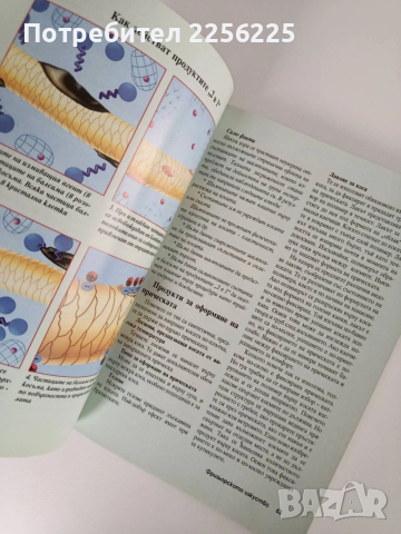 Фризьорското изкуство, снимка 3 - Специализирана литература - 54183501