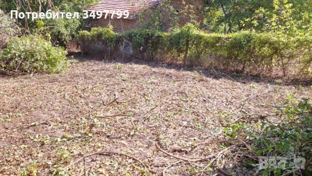 Продавам парцел в село Староселец, Варненска област, снимка 3 - Парцели - 51802806