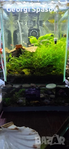 Продавам 10 л.аквариум, снимка 2 - Други - 54128766