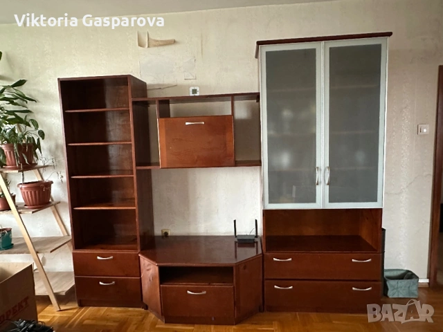 Холна секция от дърво