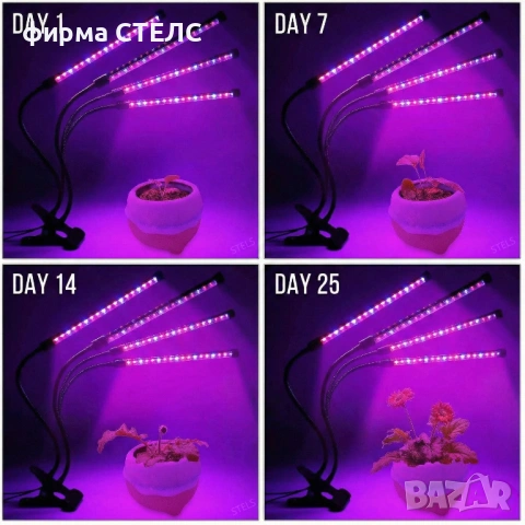 LED Лампа за растения STELS с 4 гъвкави рамена, Таймер и Пълен спектър, снимка 4 - Други - 53371053