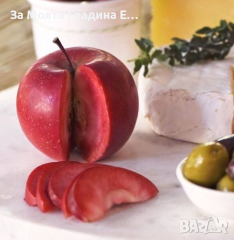 Ябълка - Red Love sirena, снимка 3 - Градински цветя и растения - 53620152