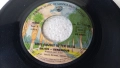 Малка грамофонна плоча, 7 инча, 17.78 см, DU FILM bilitis, снимка 4