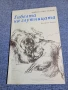 Кирил Апостолов - Гибелта на глутницата , снимка 1