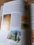 Енциклопедия за деца , снимка 8