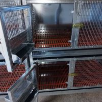 Оборудвани клетки за зайци, снимка 2 - За селскостопански - 45375477