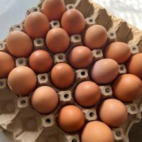 Домашни яйца, снимка 1 - Кокошки и пуйки - 45370064