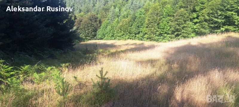 Продава се земя в Родопите, снимка 1