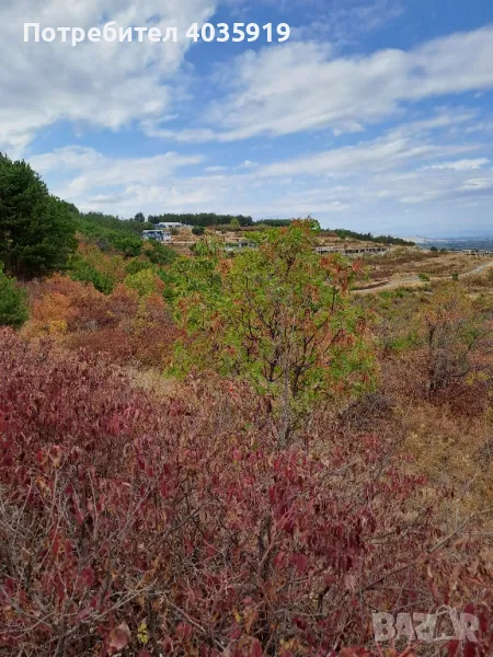 продавам парцел в с. Брестовица, снимка 1