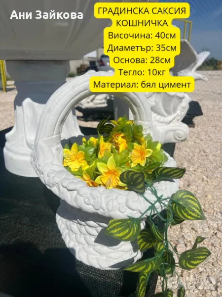 ГРАДИНСКА САКСИЯ КОШНИЧКА, снимка 1