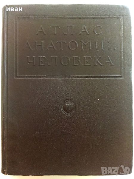 Атлас анатомии Человека  Том 4- В.Воробьев,Р..Синельников -1948г., снимка 1