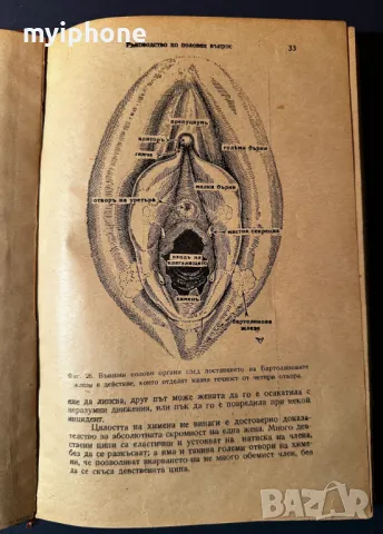 Стара Книга Ръководство по Половия Въпрос Д-р Вандер 1946 г., снимка 1 - Специализирана литература - 49529349