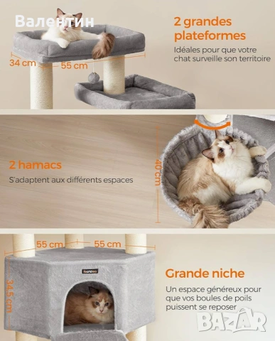 Голямо котешко дърво Мейн Куун , снимка 6 - За котки - 53222408