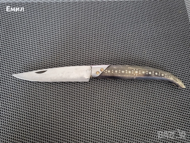 Сойка, ножче К.Попадийн Костенец 