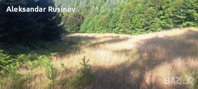 Продава се земя в Родопите