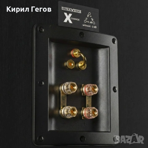 Продавам чифт големи букшелф Dynavoice Definition DM-6, снимка 3 - Тонколони - 53734236