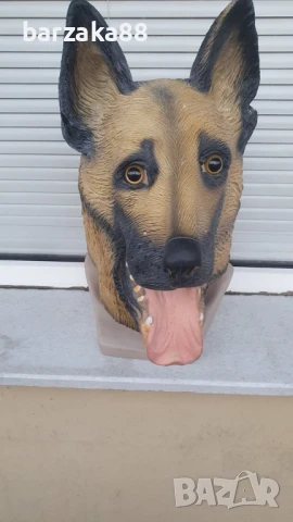 Маска на куче, Латекс