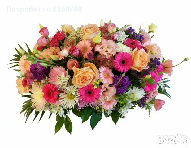 Доставка на цветя в София – florans.eu 🌸🚚, снимка 5 - Стайни растения - 49546698