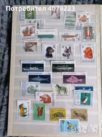 Колекция пощенски марки 