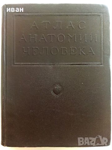 Атлас анатомии Человека  Том 4- В.Воробьев,Р..Синельников -1948г., снимка 1 - Специализирана литература - 36875790